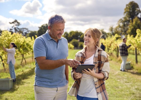 size_iasetorvitivicula